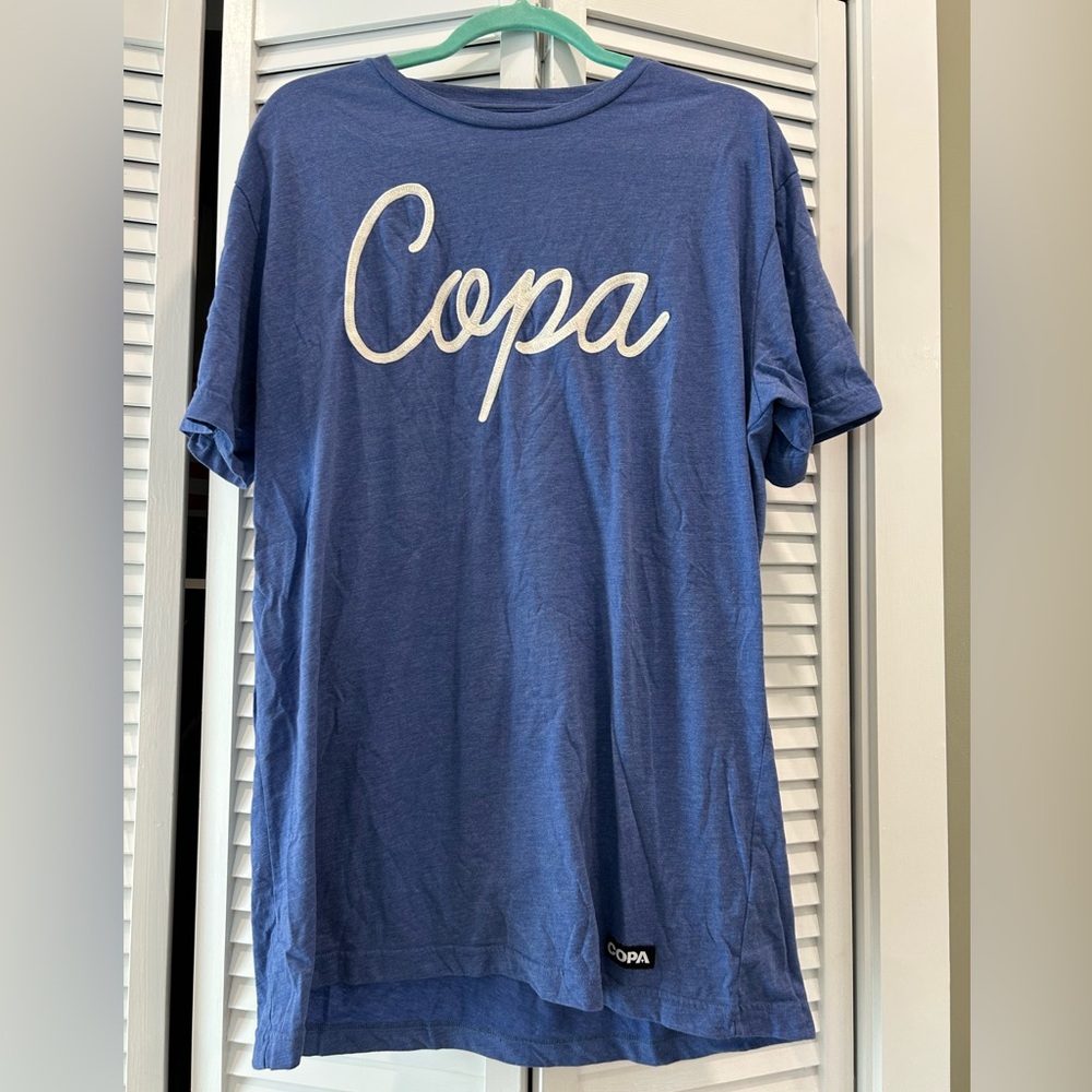 Blue Men's T-Shirt
